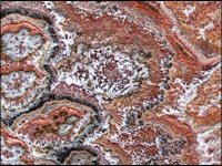 onyx_jasper