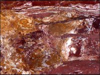 onyx_landscape