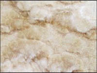 onyx_mexican-cream